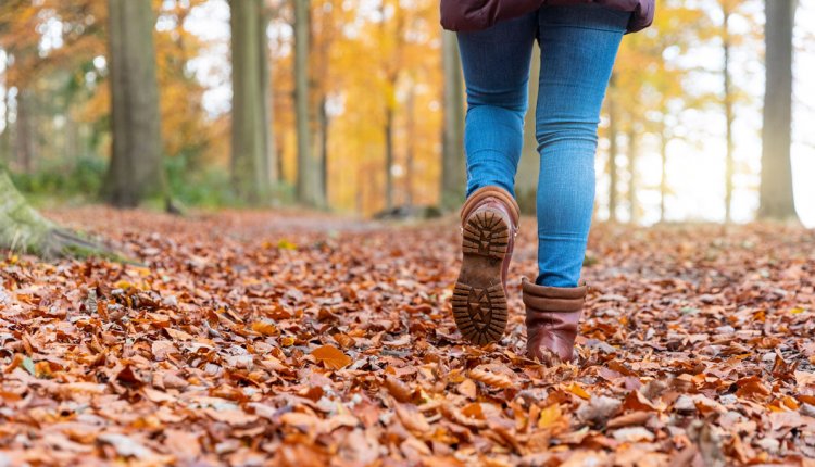 wandelen in de herfst