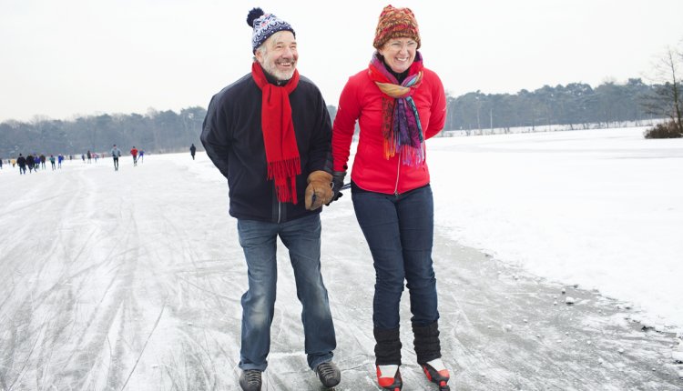 stel schaatst