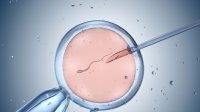 In vitro fertilisatie (IVF)