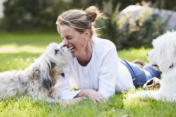 blije vrouw met honden